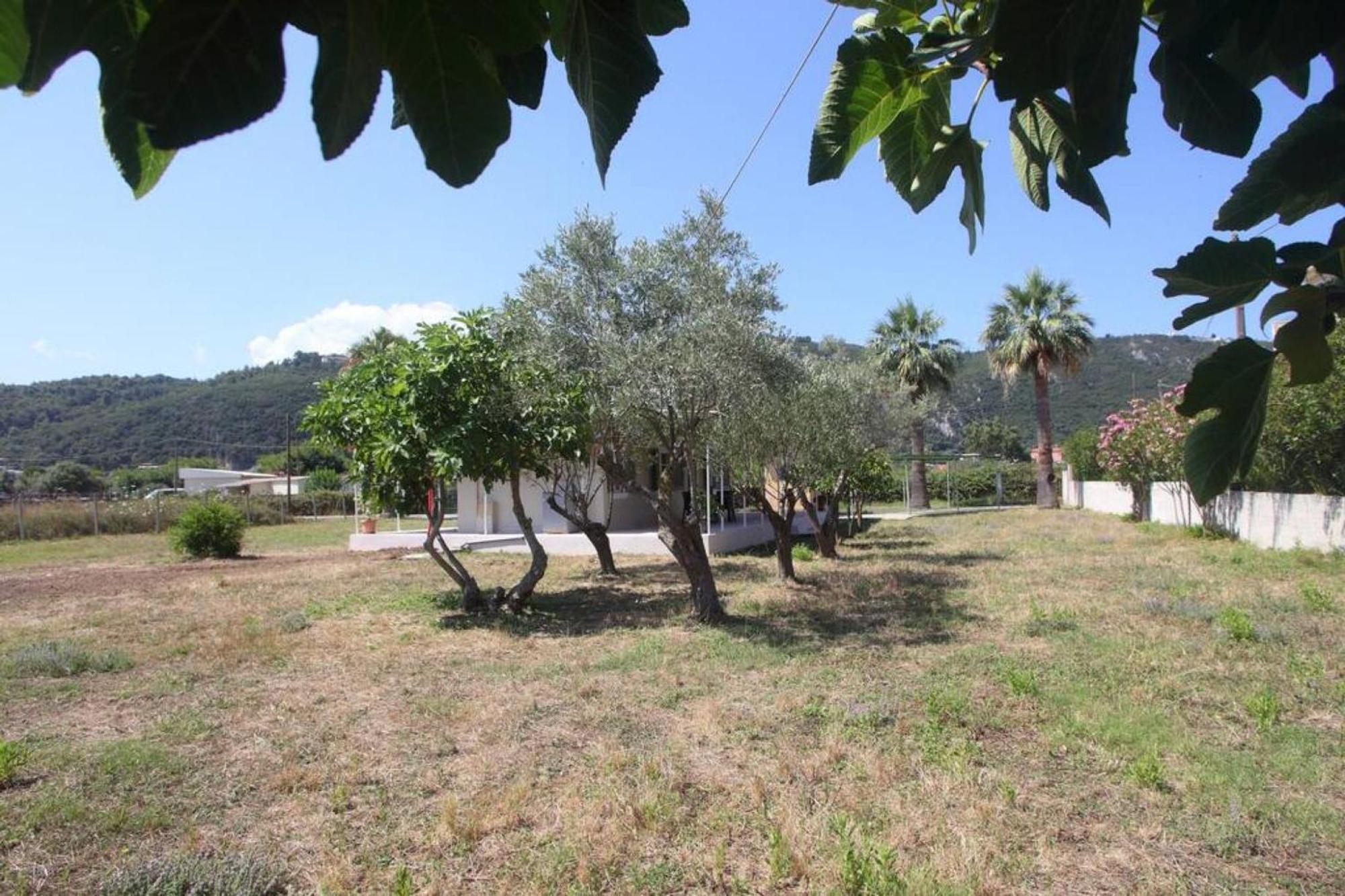 Olga Home Agios Ioannis Lefkada - Lefkada Bnb ภายนอก รูปภาพ